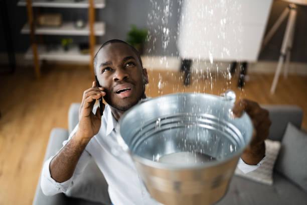 Best Sewage cleanup and water damage restoration  in Russell, PA