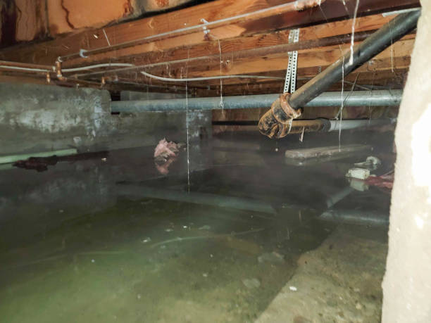 Best Water damage restoration process  in Russell, PA