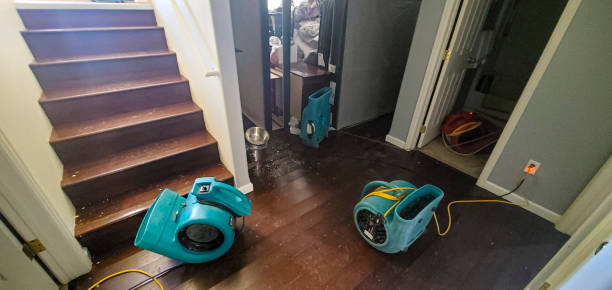 Best Local water damage restoration  in Russell, PA