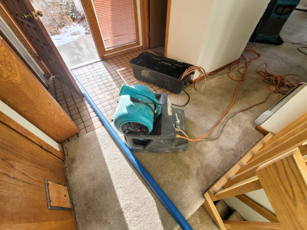 Best Water damage restoration near me  in Russell, PA