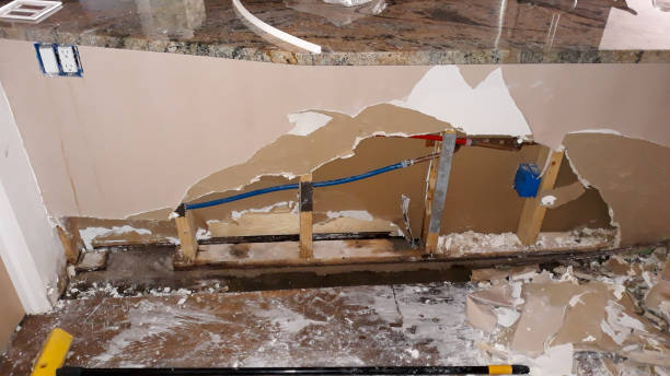 Best Professional water damage repair  in Russell, PA