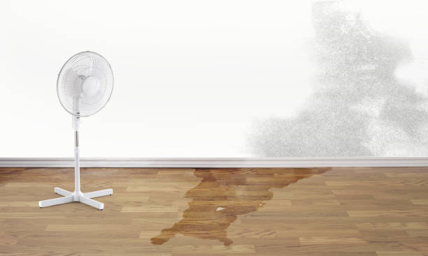 Best Water damage restoration specialists  in Russell, PA