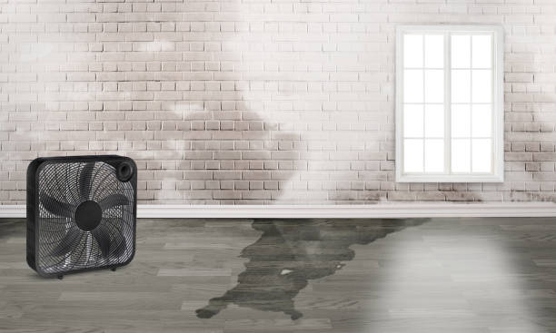 Best Residential water damage restoration  in Russell, PA