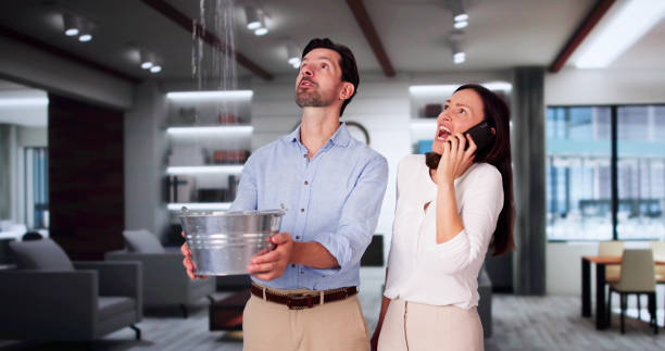 Best Fire Damage Restoration  in Russell, PA