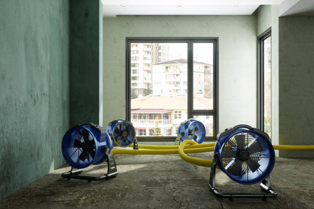 Best Mold removal after water damage  in Russell, PA