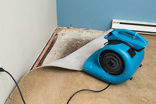 Best Commercial water damage restoration  in Russell, PA